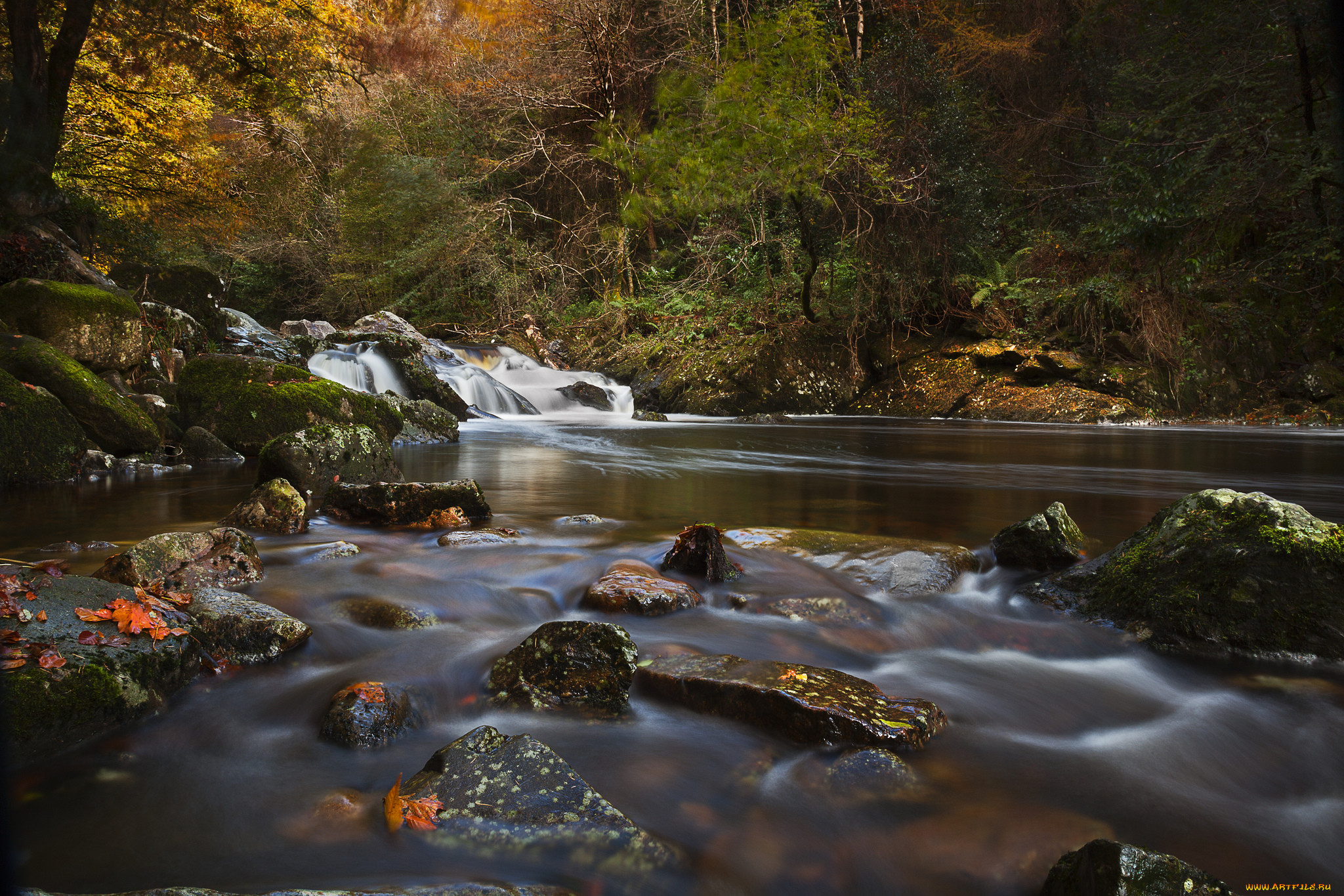 river, erme, devon, england, , , , , , , , , 